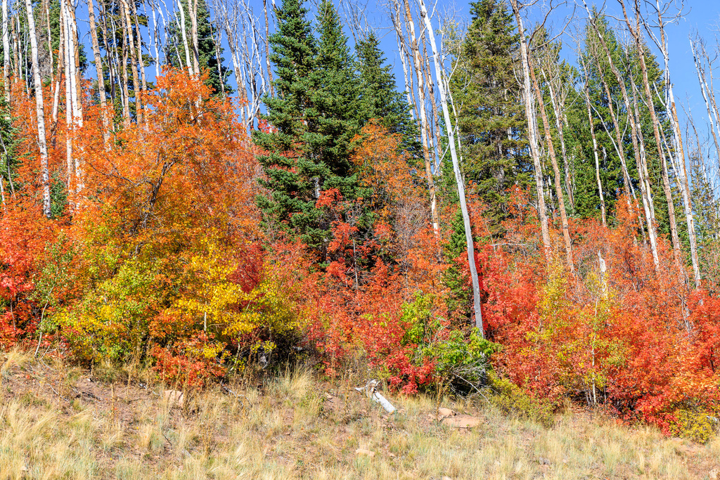 325  WHITE PINE CANYON RD Park City, UT 84060