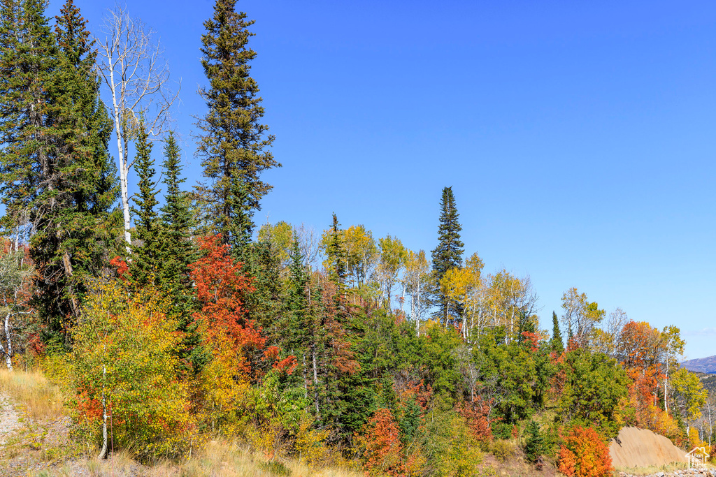 325  WHITE PINE CANYON RD Park City, UT 84060