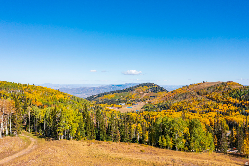 325  WHITE PINE CANYON RD Park City, UT 84060