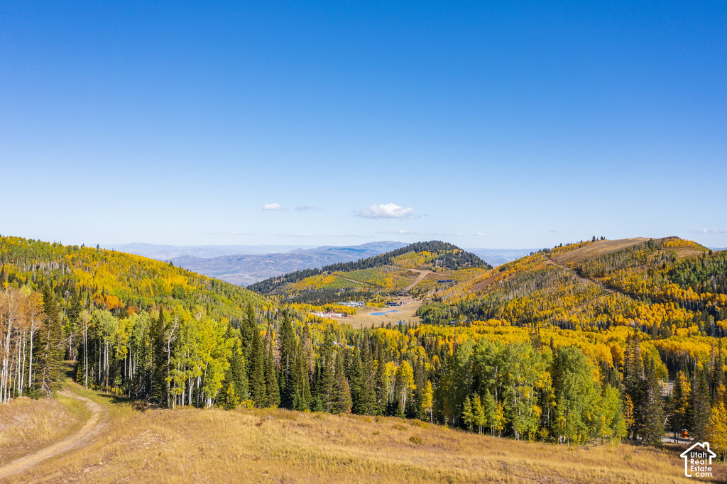 Expansive mountain landscape featuring vibrant autumnal foliage, evergreen trees, and distant hills