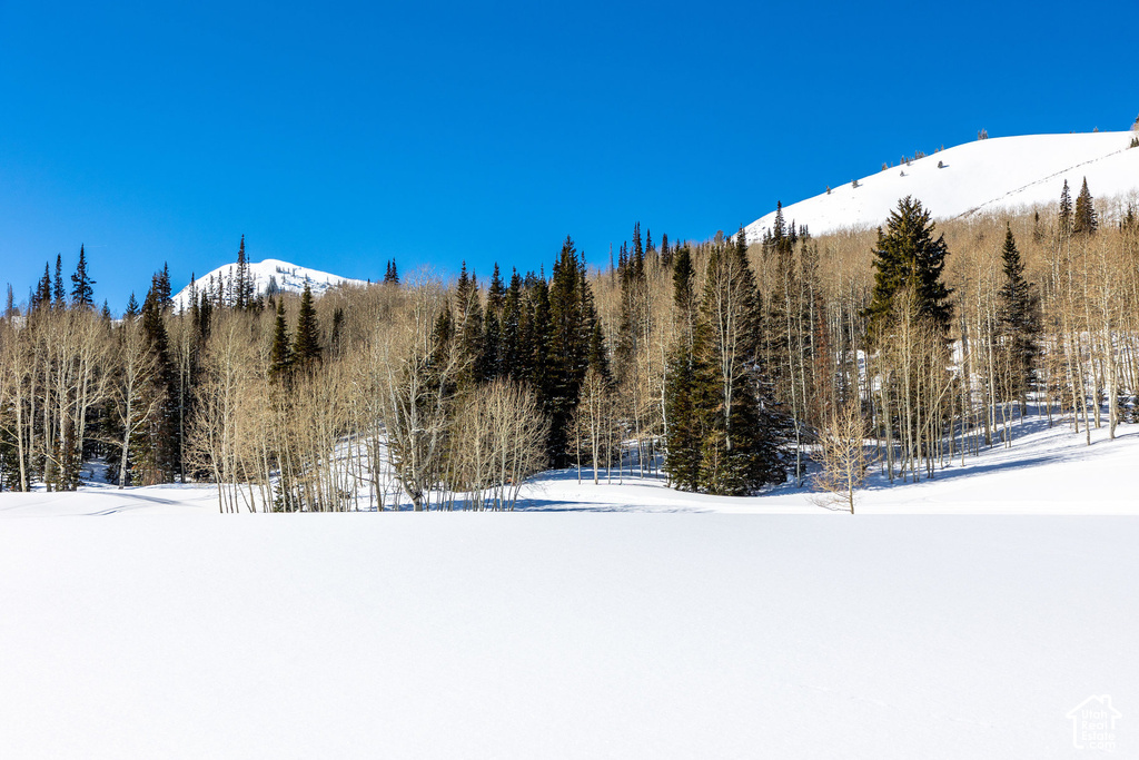 Snow-covered landscape with a treeline of deciduous and evergreen trees, backed by a snow-capped mountain range under a clear blue sky