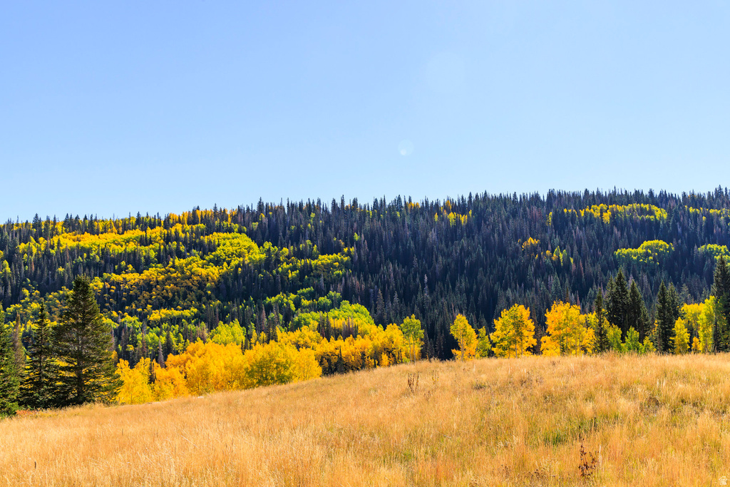 325  WHITE PINE CANYON RD Park City, UT 84060