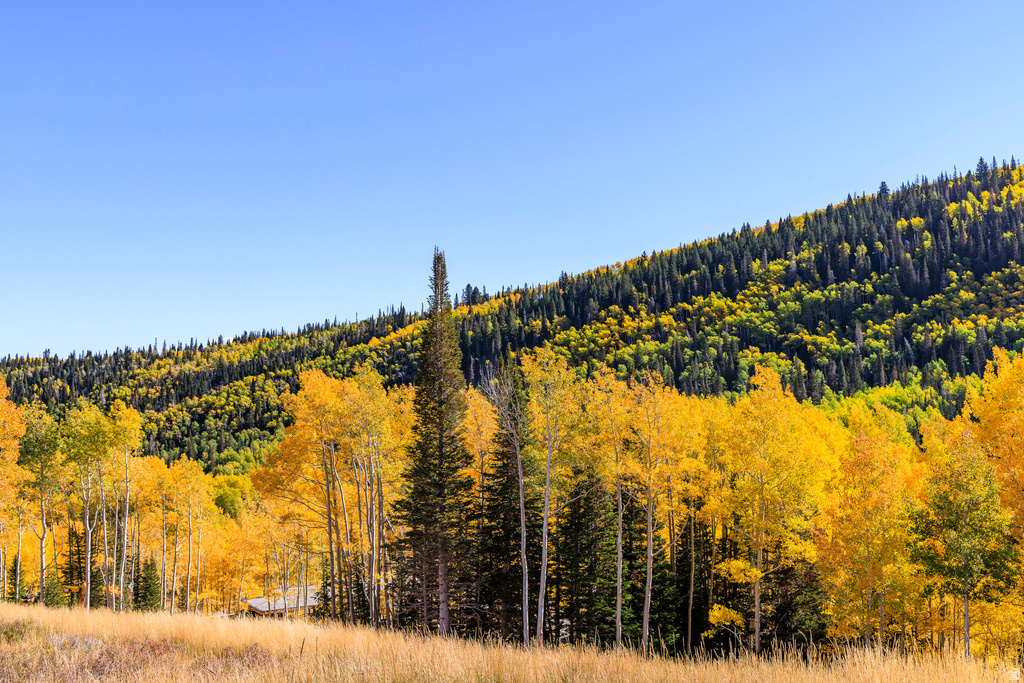 325  WHITE PINE CANYON RD Park City, UT 84060