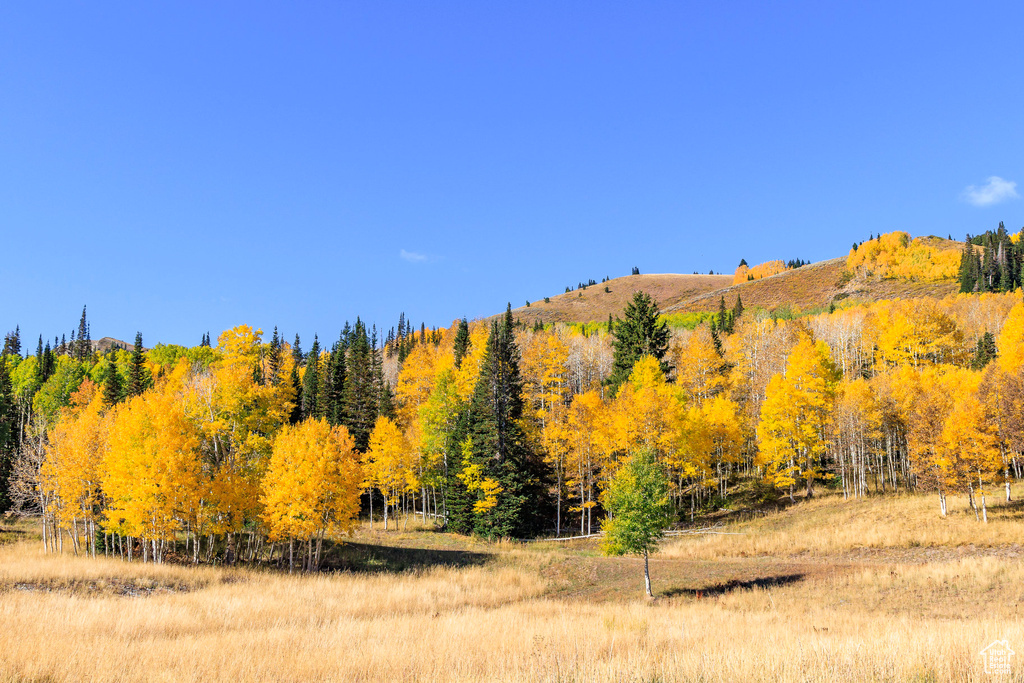 325  WHITE PINE CANYON RD Park City, UT 84060