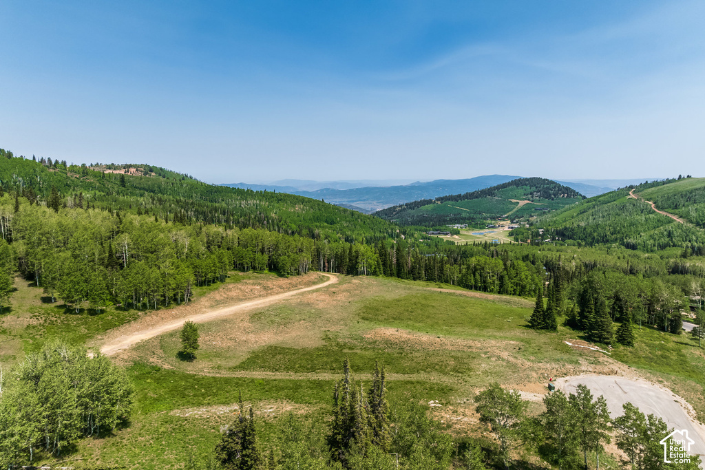 Expansive mountain landscape featuring varied tree cover, a winding unpaved road, and distant slopes