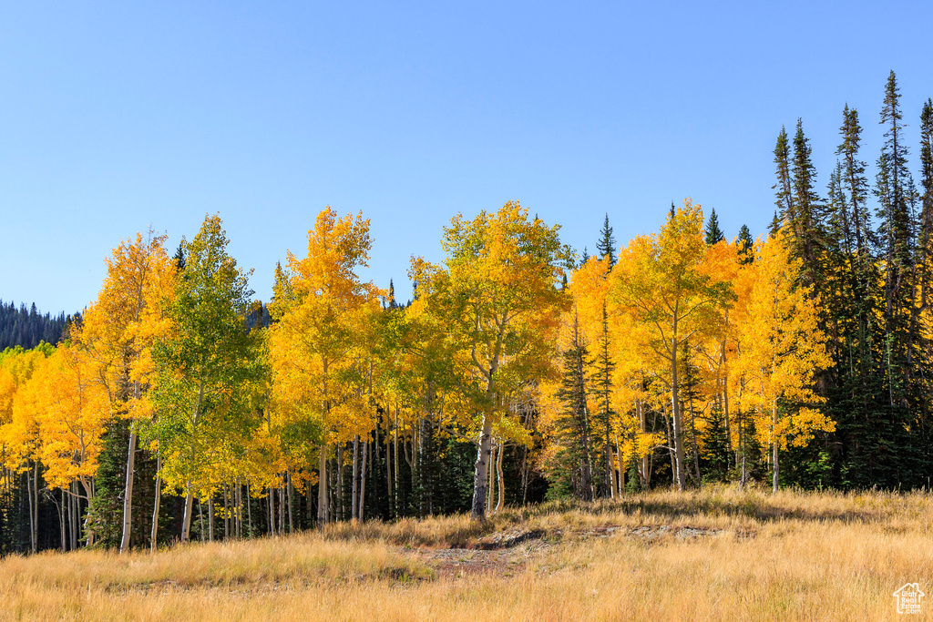 325  WHITE PINE CANYON RD Park City, UT 84060