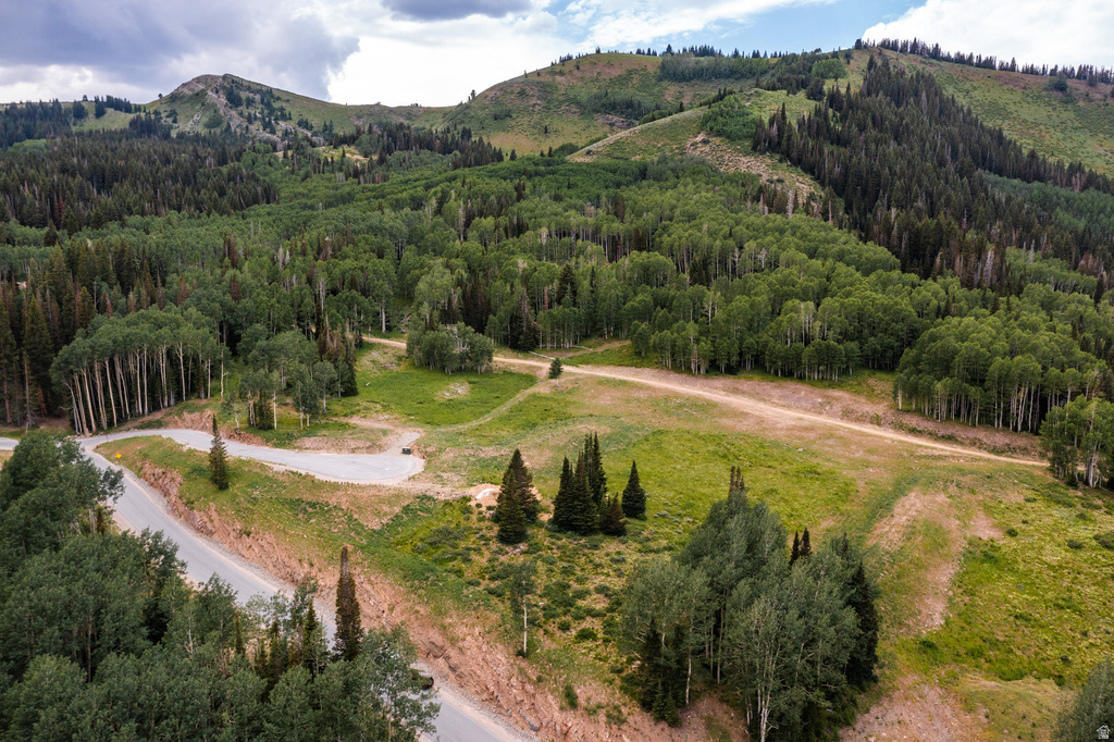 325  WHITE PINE CANYON RD Park City, UT 84060