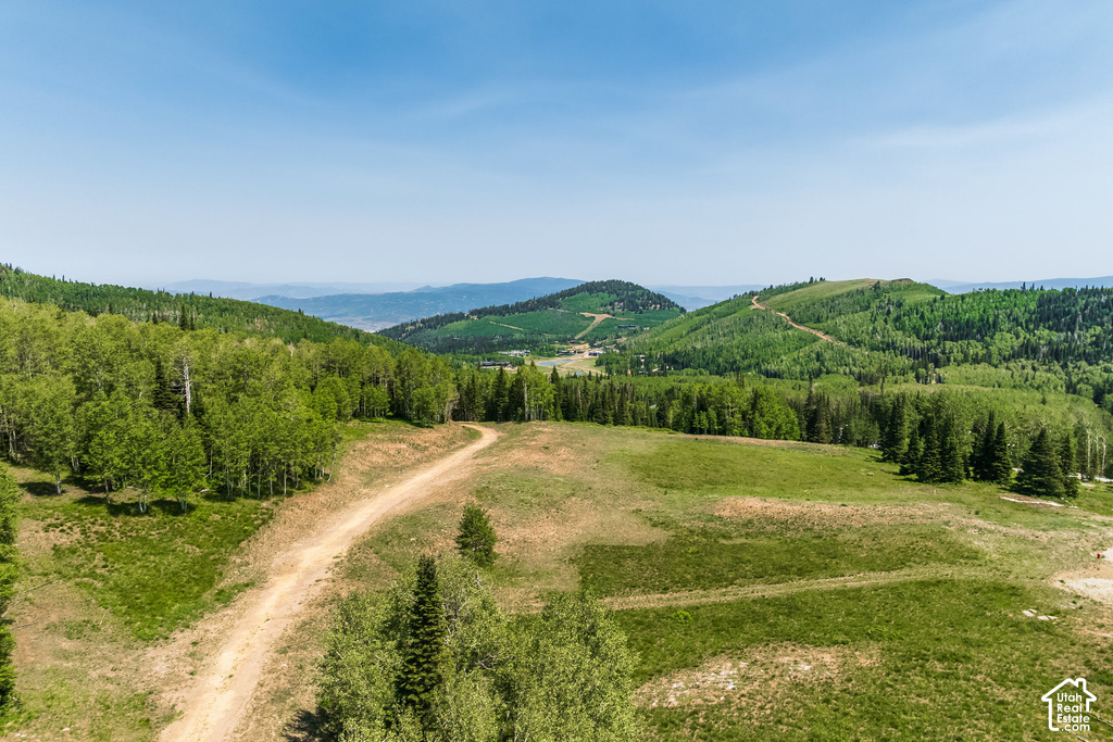 Expansive mountain landscape with a meandering dirt road, lush green hills, and dense forestation extending into the distance