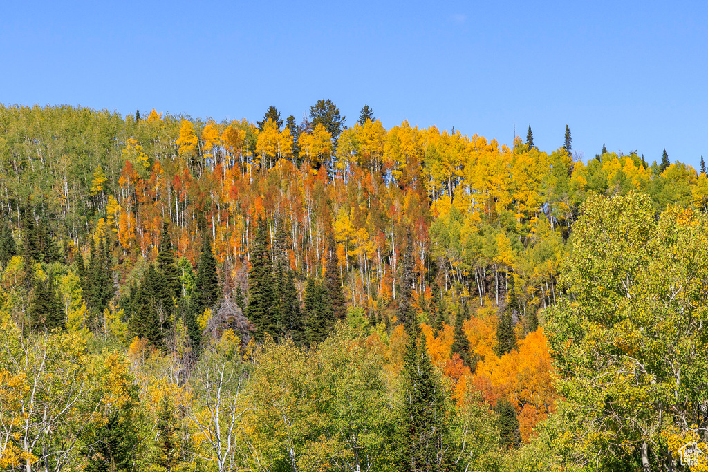 325  WHITE PINE CANYON RD Park City, UT 84060