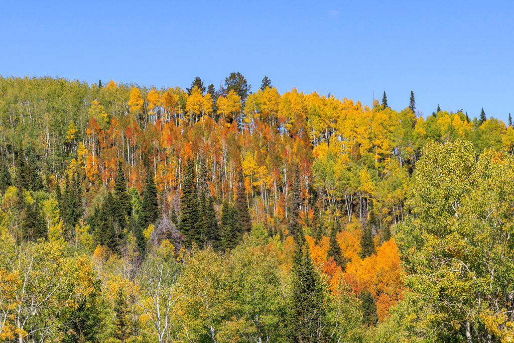 325  WHITE PINE CANYON RD Park City, UT 84060