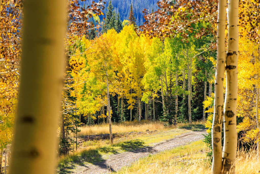 325  WHITE PINE CANYON RD Park City, UT 84060