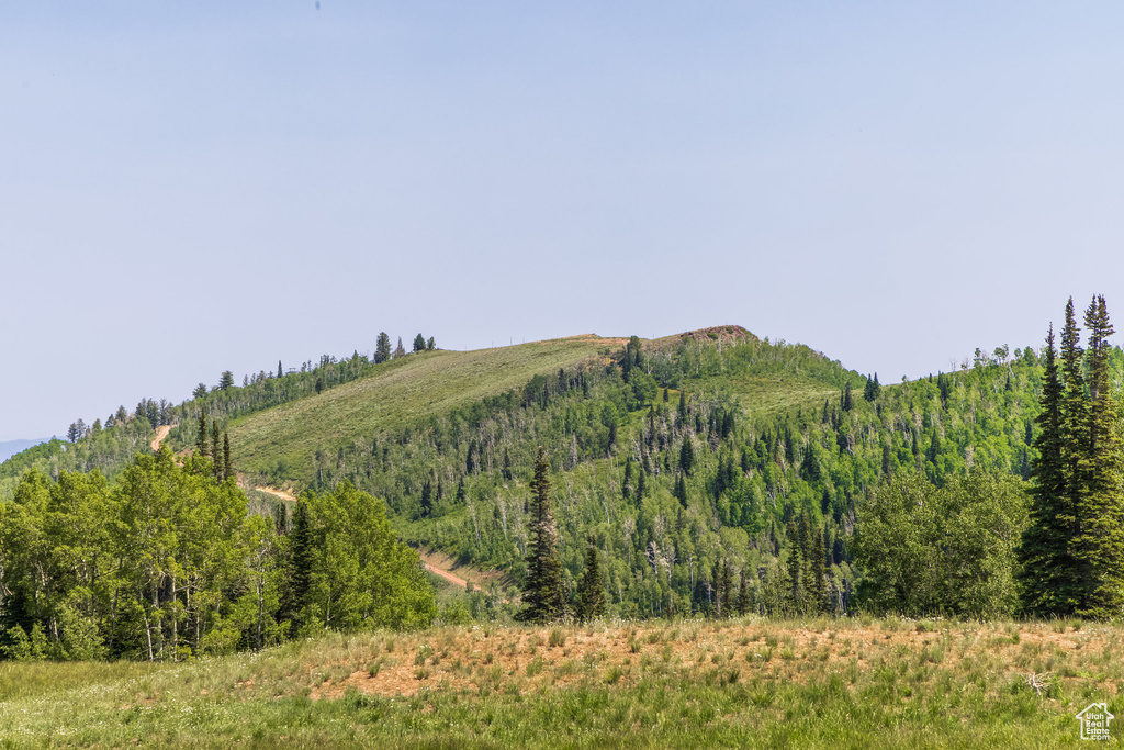 325  WHITE PINE CANYON RD Park City, UT 84060