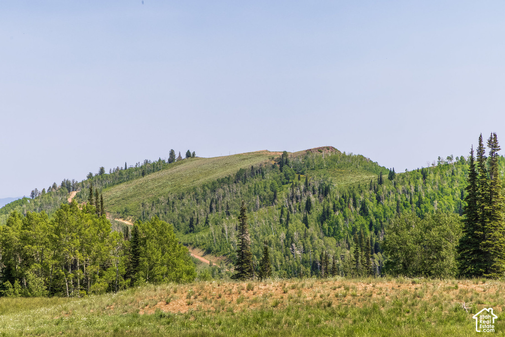 Expansive natural landscape featuring rolling hills and abundant evergreen and deciduous trees