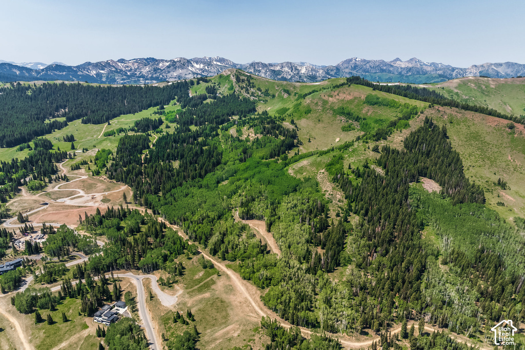 Expansive mountain landscape featuring varied terrain with evergreen forests and deciduous trees