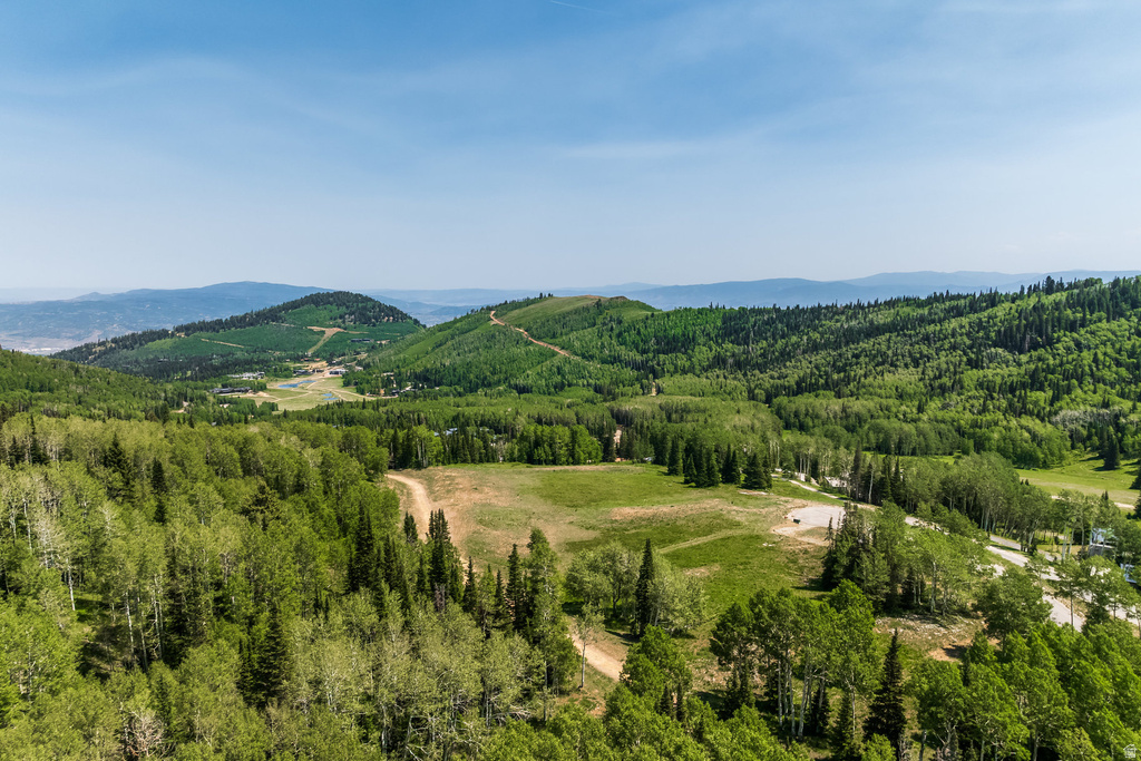 325  WHITE PINE CANYON RD Park City, UT 84060