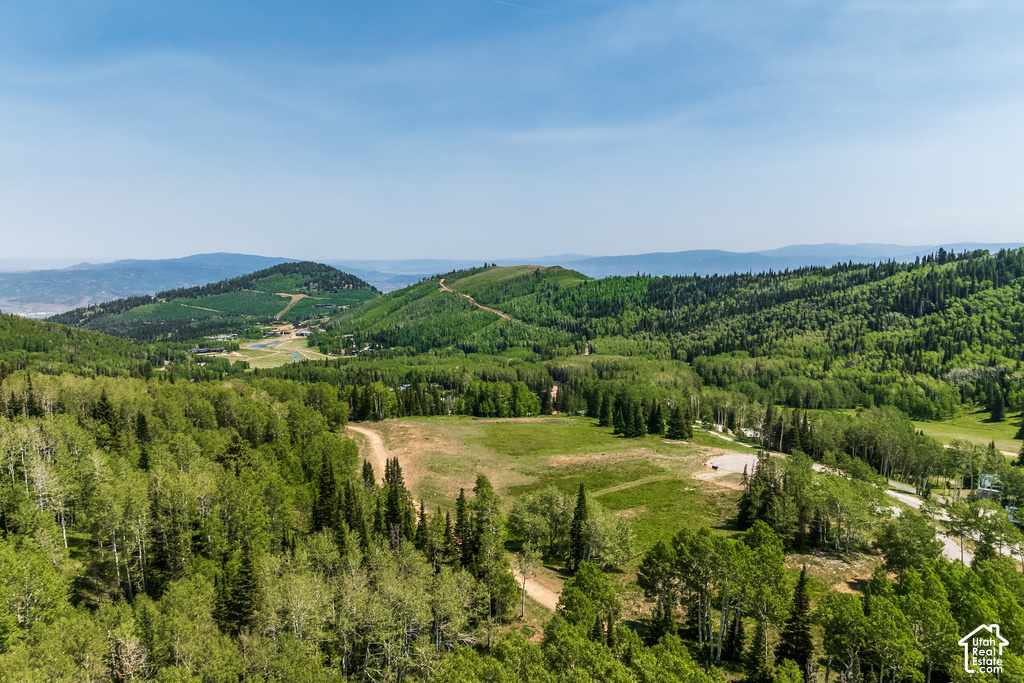 Expansive, tree-covered mountain landscape with rolling hills and distant terrain