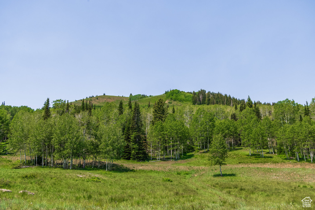 325  WHITE PINE CANYON RD Park City, UT 84060