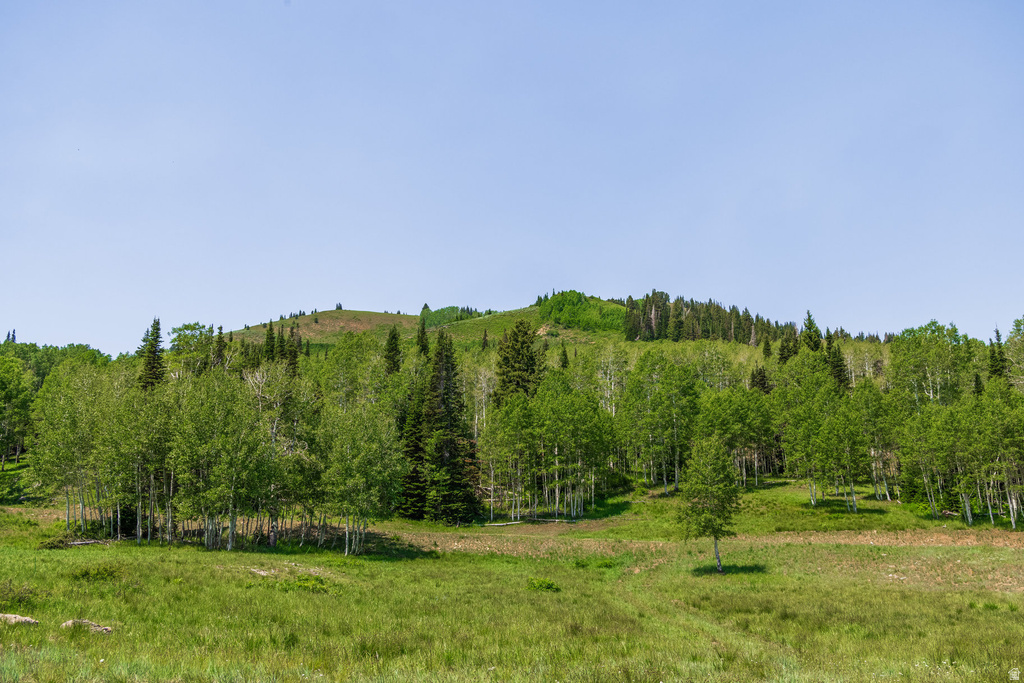 325  WHITE PINE CANYON RD Park City, UT 84060