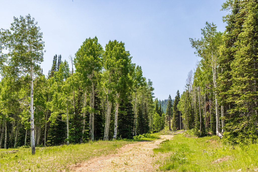 325  WHITE PINE CANYON RD Park City, UT 84060
