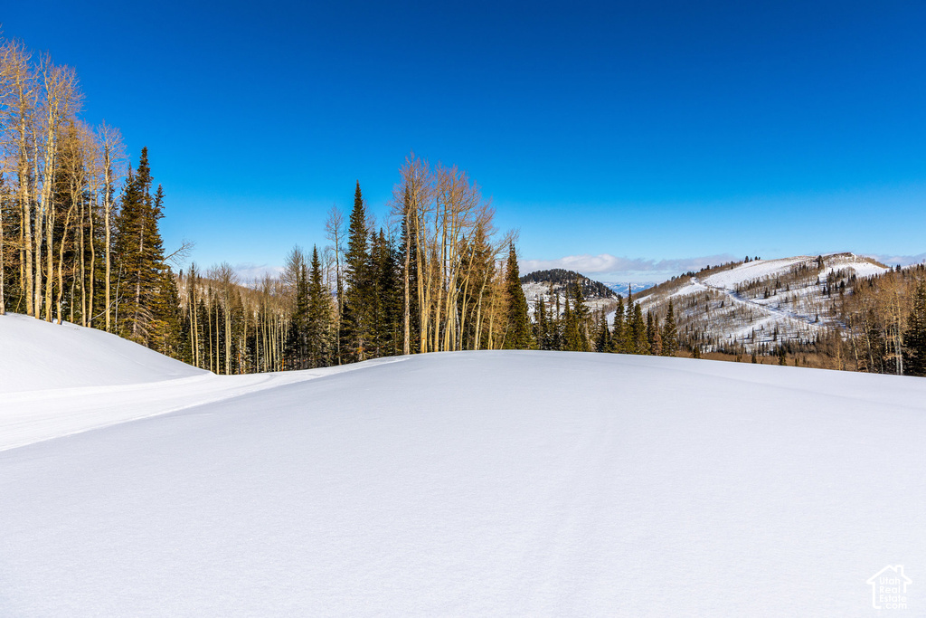 Expansive snow-covered landscape with rolling hills and distant mountains