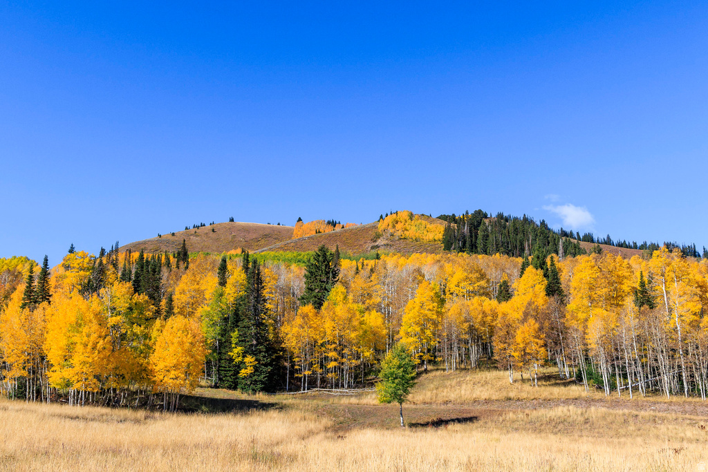 325  WHITE PINE CANYON RD Park City, UT 84060