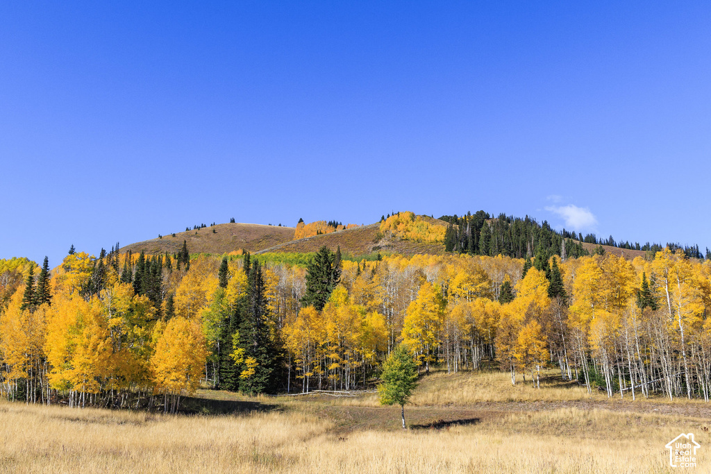 Expansive natural landscape featuring rolling hills and a clear blue sky