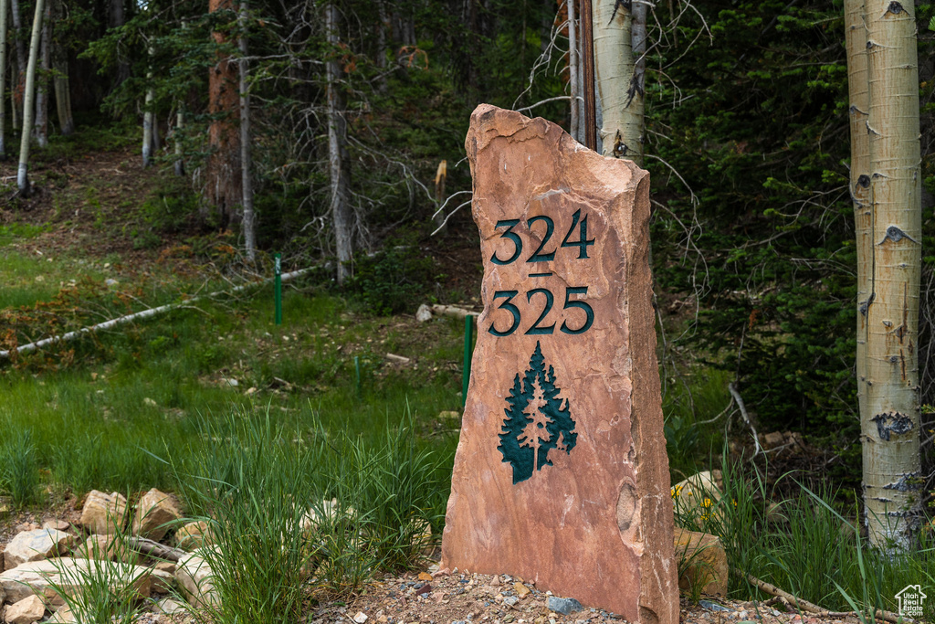 325  WHITE PINE CANYON RD Park City, UT 84060