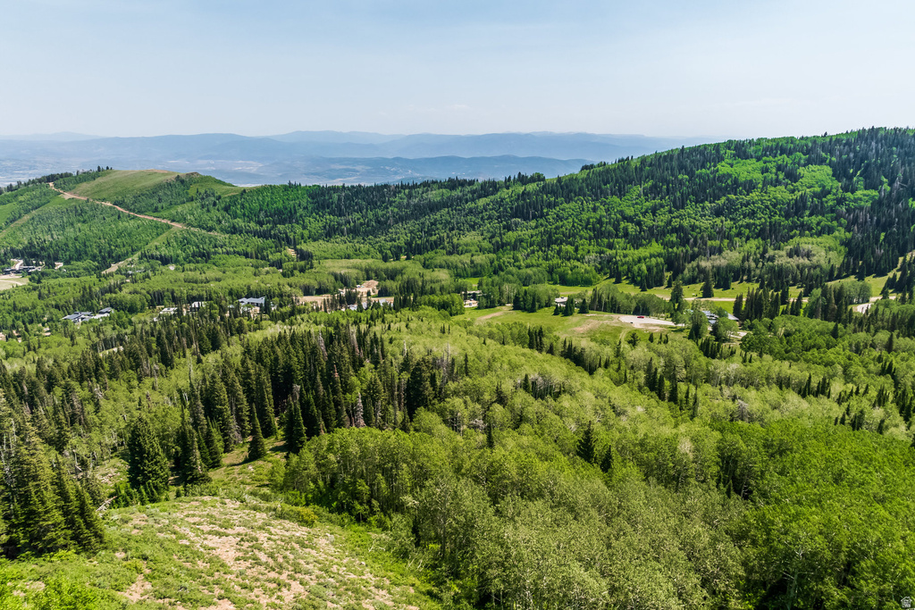 325  WHITE PINE CANYON RD Park City, UT 84060