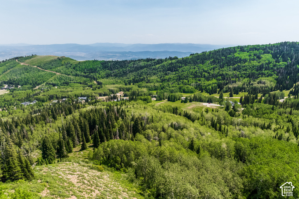 Expansive mountainous landscape featuring dense evergreen forests and scattered deciduous trees