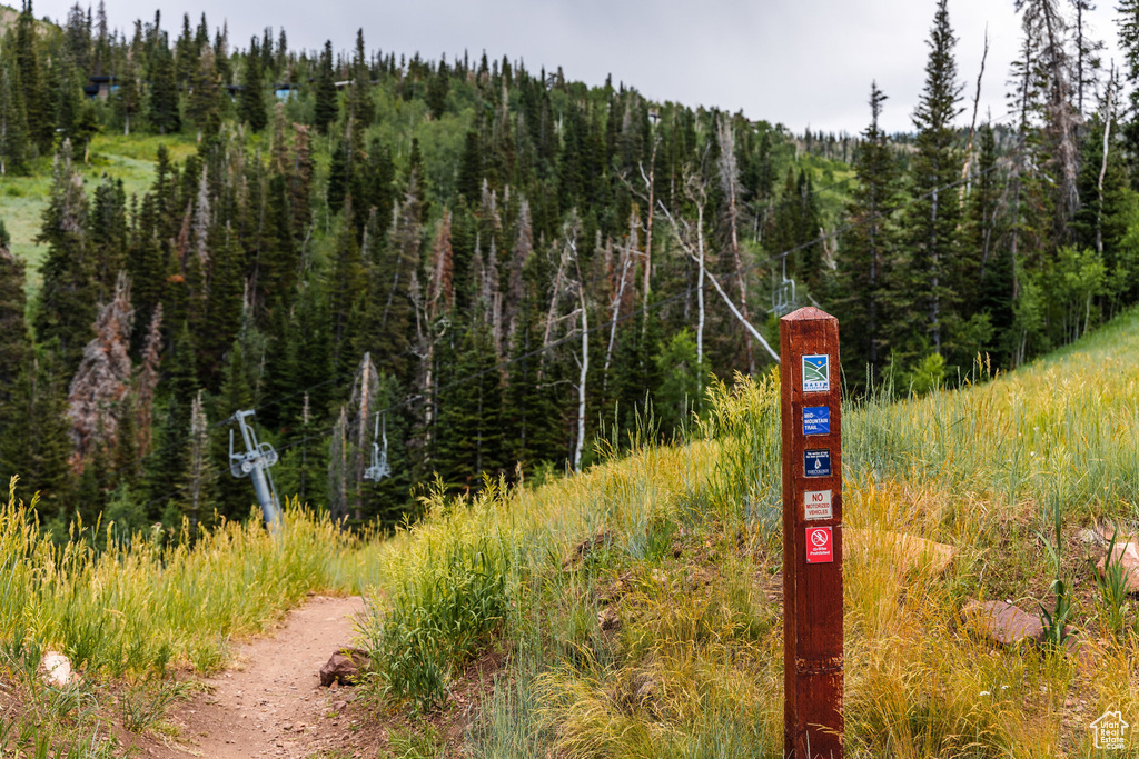 325  WHITE PINE CANYON RD Park City, UT 84060