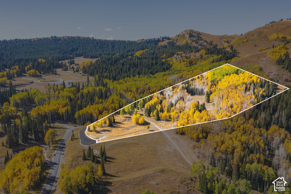Expansive mountain property featuring vibrant autumn foliage and mature evergreen trees