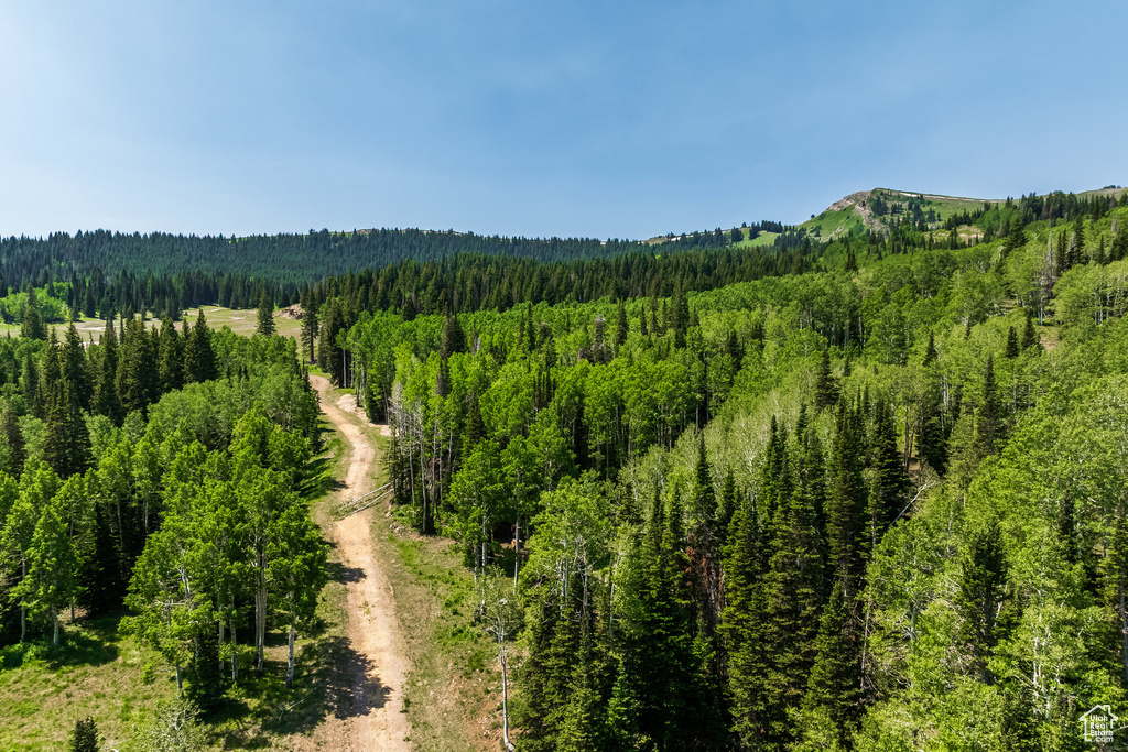 325  WHITE PINE CANYON RD Park City, UT 84060