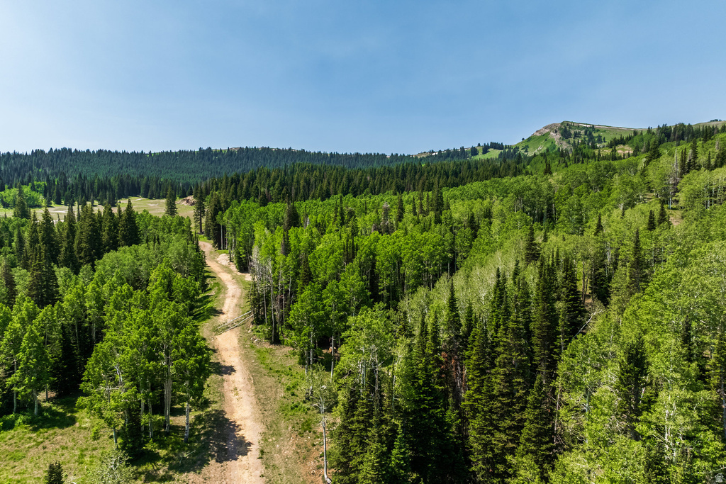 325  WHITE PINE CANYON RD Park City, UT 84060