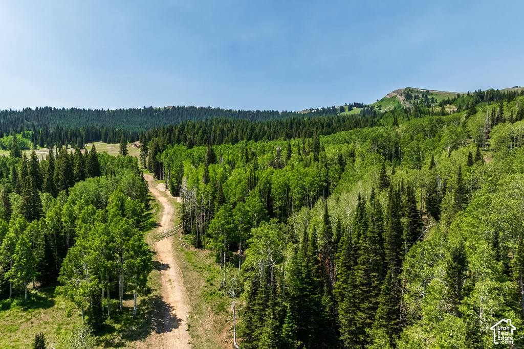 Expansive mountainous terrain featuring a dirt road winding through dense evergreen and deciduous trees