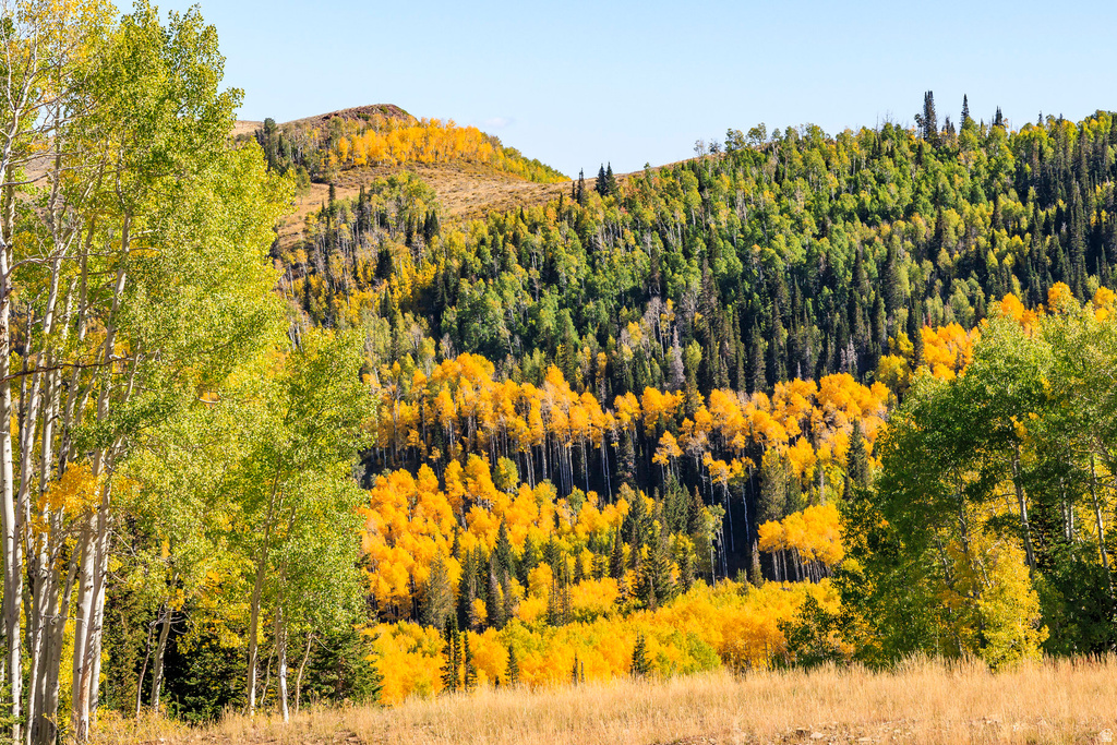 325  WHITE PINE CANYON RD Park City, UT 84060