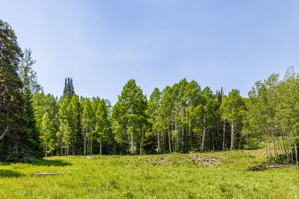 325  WHITE PINE CANYON RD Park City, UT 84060