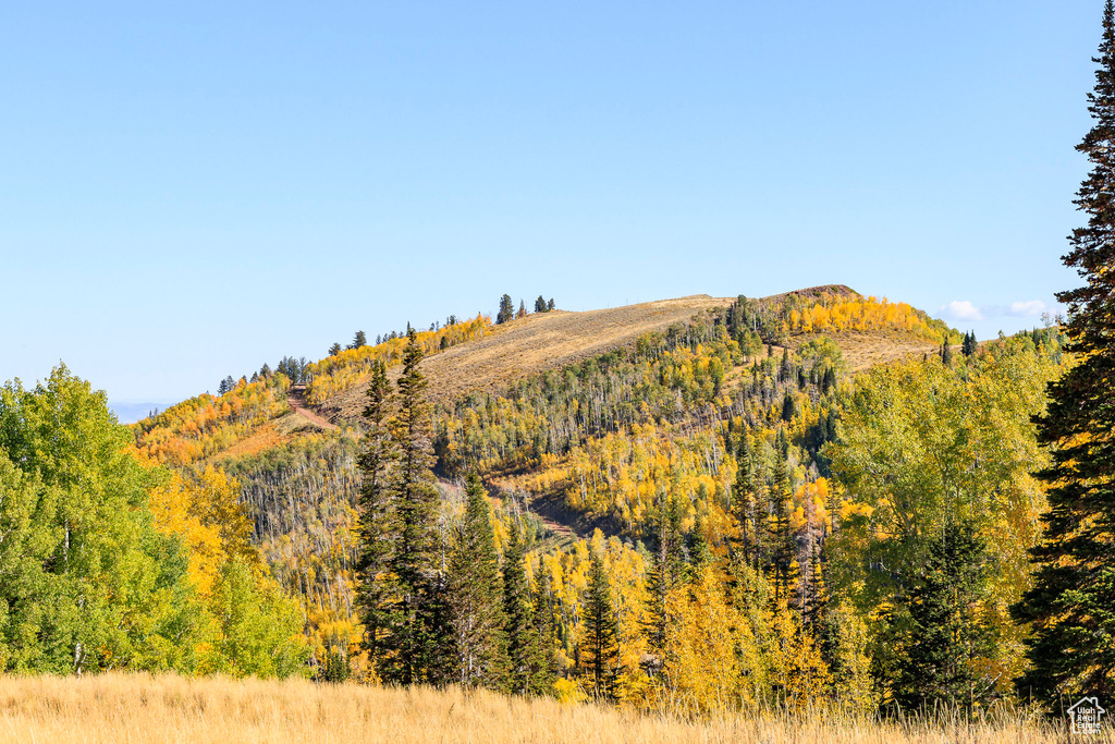 325  WHITE PINE CANYON RD Park City, UT 84060