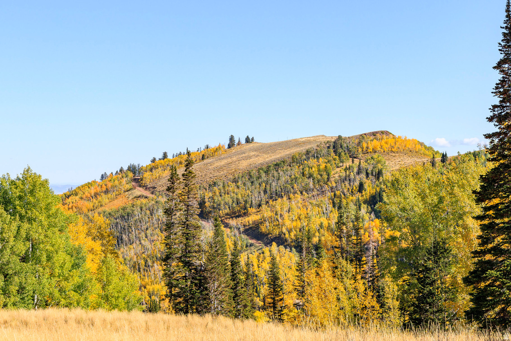 325  WHITE PINE CANYON RD Park City, UT 84060