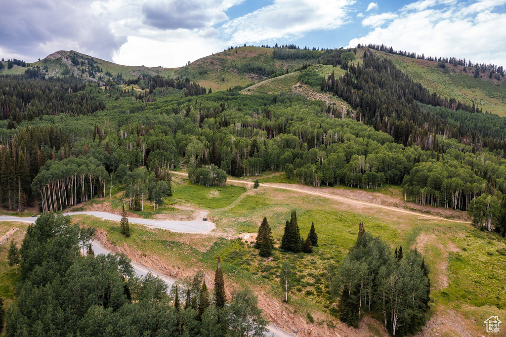 325  WHITE PINE CANYON RD Park City, UT 84060