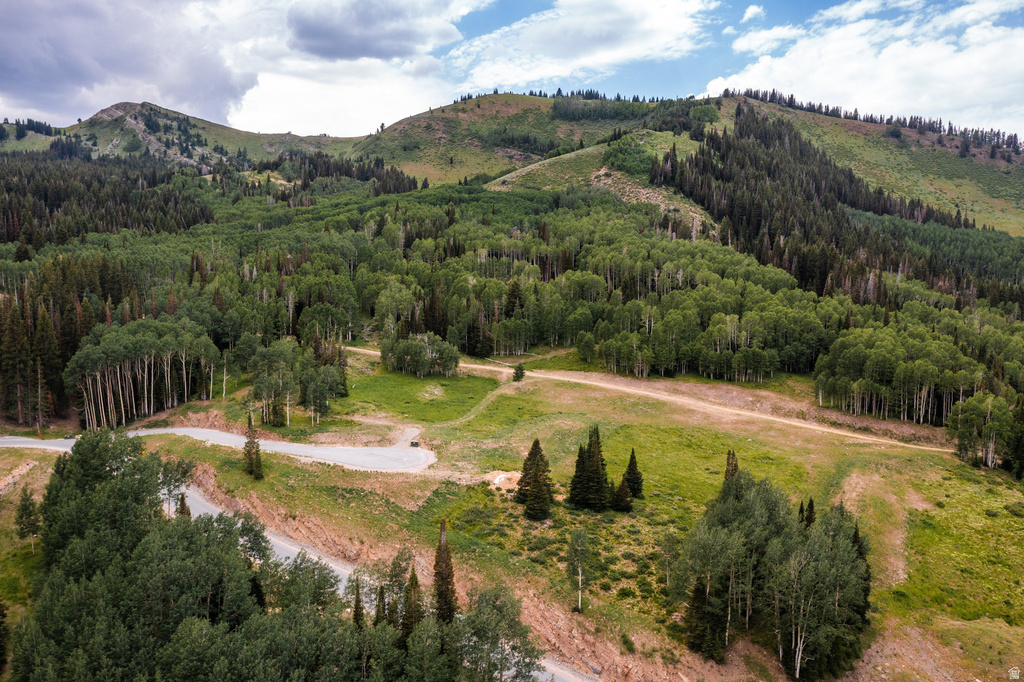 325  WHITE PINE CANYON RD Park City, UT 84060