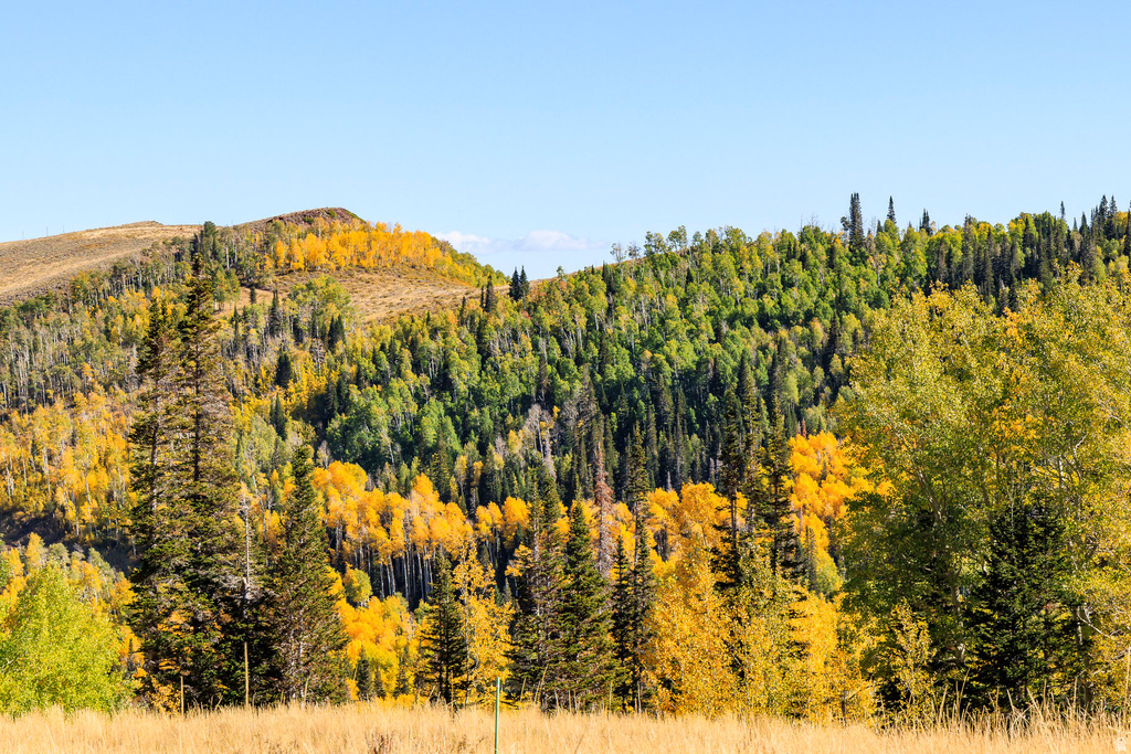 325  WHITE PINE CANYON RD Park City, UT 84060