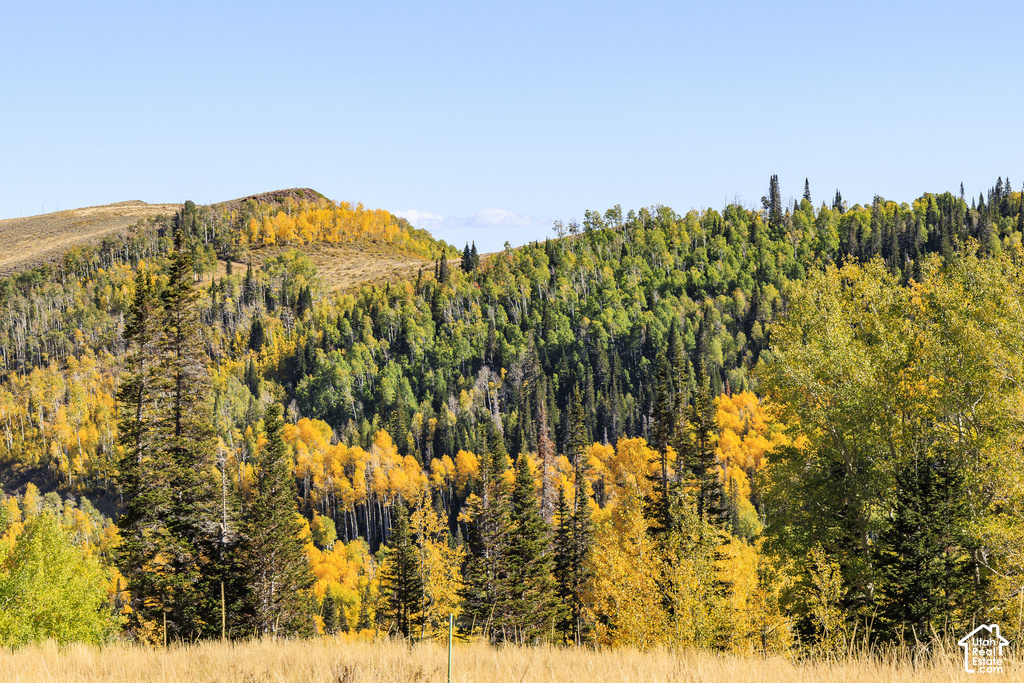 Varied topography featuring a mix of evergreen and deciduous trees, with autumn foliage displaying vibrant yellow and green hues