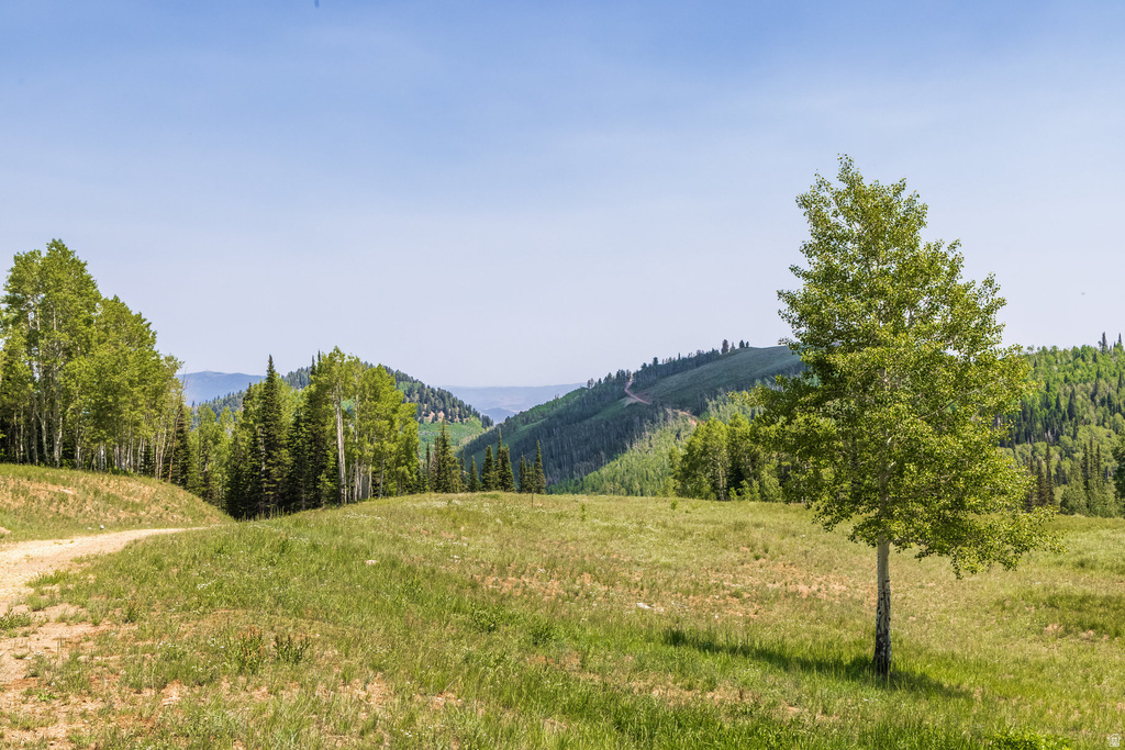 325  WHITE PINE CANYON RD Park City, UT 84060