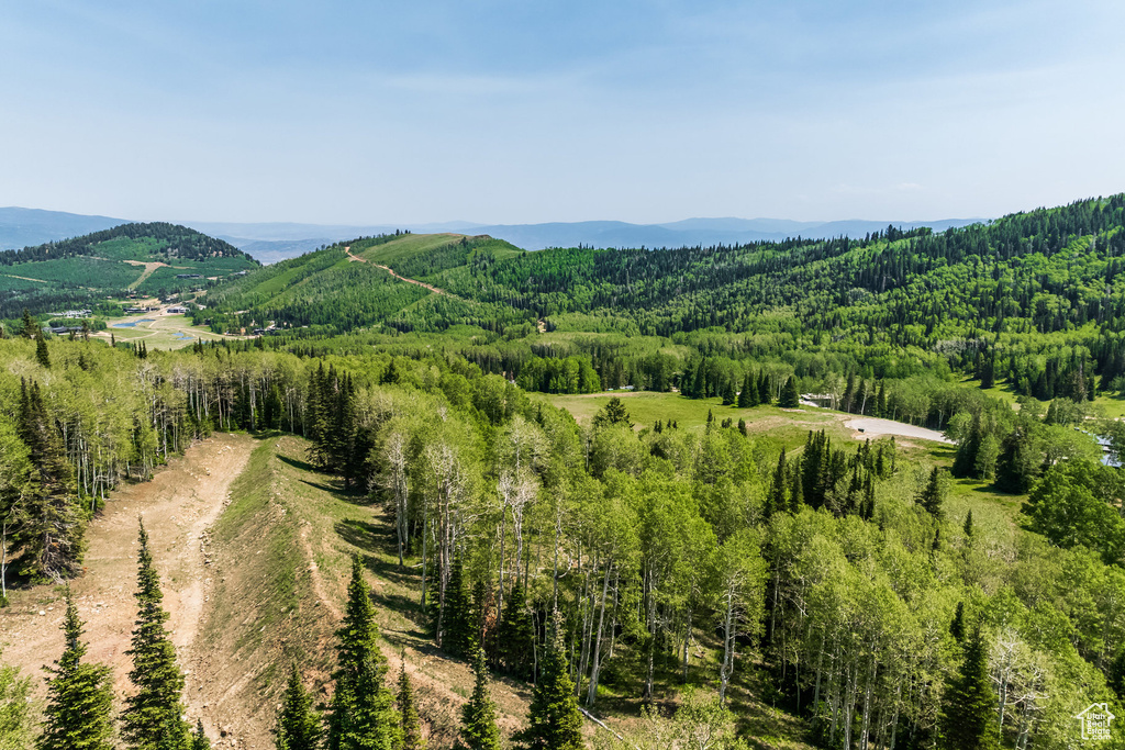 325  WHITE PINE CANYON RD Park City, UT 84060