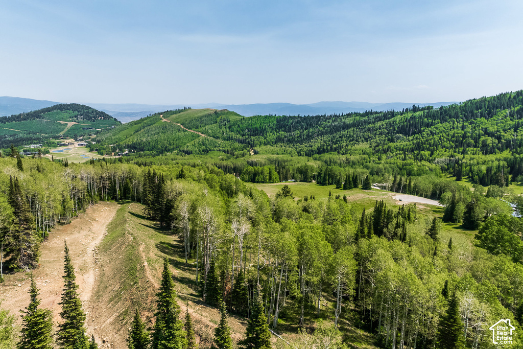 Expansive mountain landscape featuring abundant green foliage and distant elevated terrain