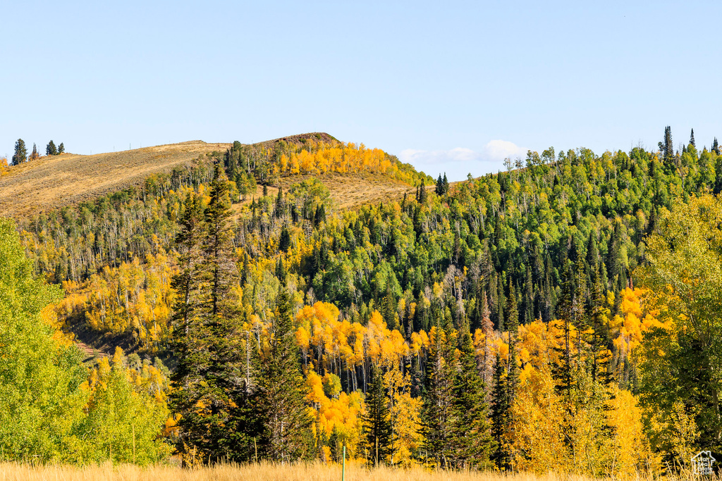 325  WHITE PINE CANYON RD Park City, UT 84060