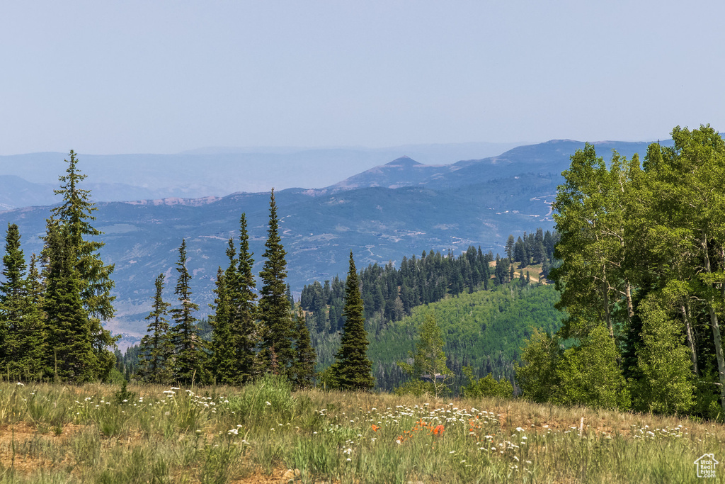 325  WHITE PINE CANYON RD Park City, UT 84060