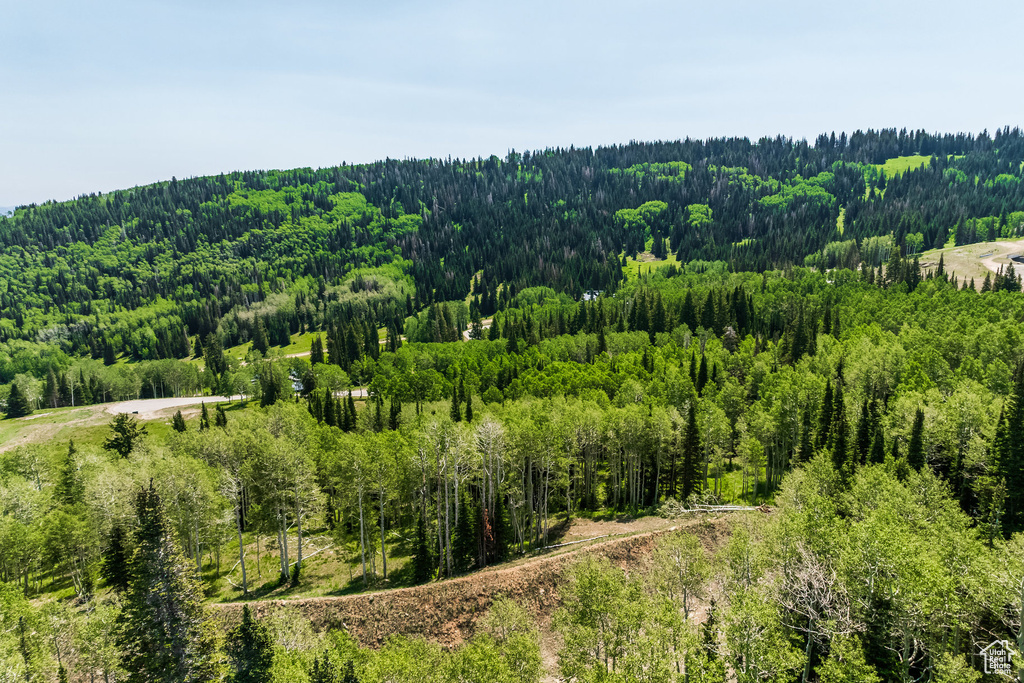 325  WHITE PINE CANYON RD Park City, UT 84060