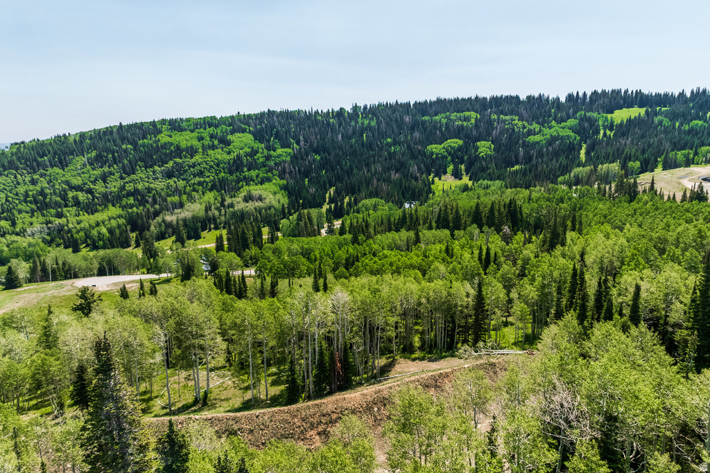 325  WHITE PINE CANYON RD Park City, UT 84060