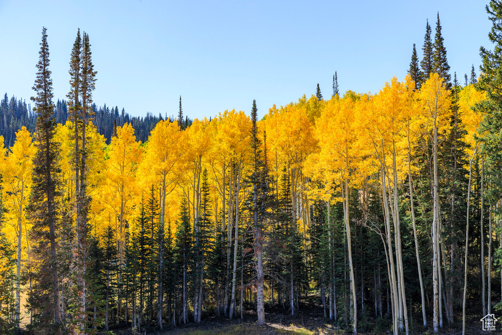 325  WHITE PINE CANYON RD Park City, UT 84060